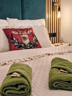 Apartament Krynica Central - 6