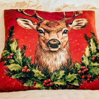 Apartament Krynica Central - 9