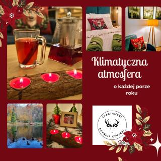 Apartament Krynica Central - 8