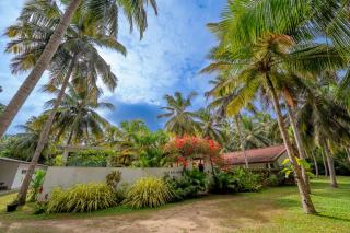 Villa Blue Lotus Katunayake - 4