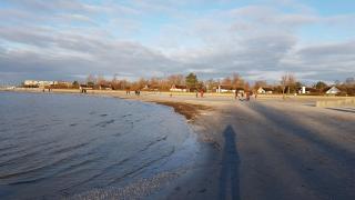 Villa Sonnenschein Makkum - 7