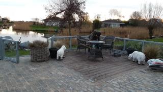 Villa Sonnenschein Makkum - 8