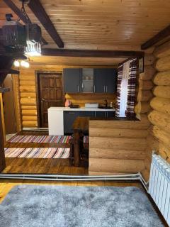 Лісовий котедж - 1