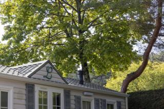 Camping 4 étoiles - Piscine - cbgcb0b - 1