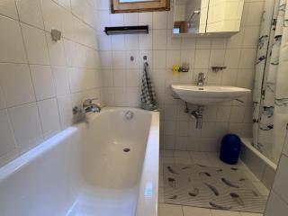 Coppex app dans chalet - SUNNY apartment 5 pers - 6