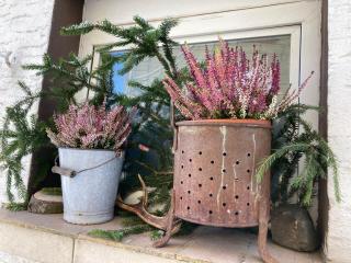 Ferienhaus Im Grünen - 1