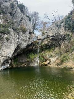 Elegant Dream Suites - 8