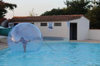 Camping 3 étoiles - Piscine - ccafeff - 8