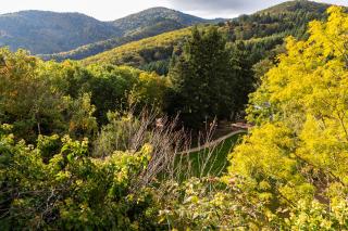 Domaine du Hirtz, Restaurant & Spa - 1