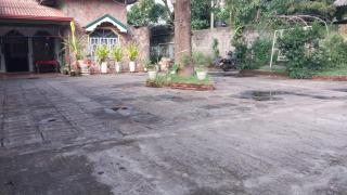 Suja Holiday Niche - 6