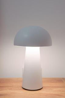 Hanim 2BR Loft Apartment - Garden & Indoor Parking - 7