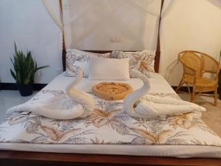 Tamasha Mango House - 2