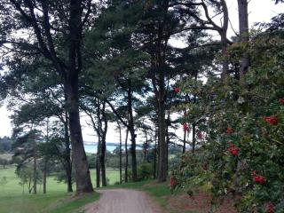 8 person holiday home in Skals - 5