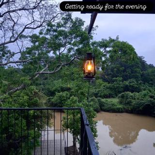 Wildcat hostel Yala - 8