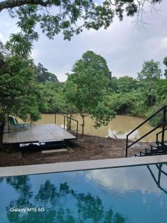 Wildcat hostel Yala - 7