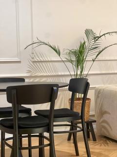 Momentum Concept Suite - 0