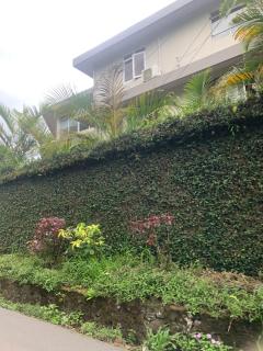 Garden view room B - 8