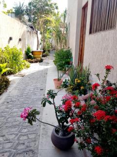 Residencial Villa Jeri - ground floor apartment 300m from the beach - 7