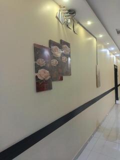 روعة أجا للشقق المخدومة - 5