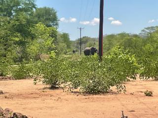 KwaZambezi Glamping Site - 8