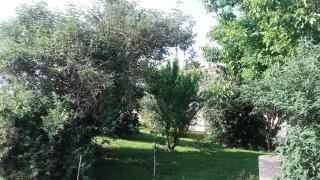 Le Pigeonnier - TG2260 - 1