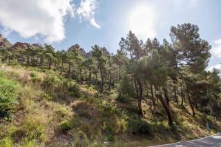 Gatova Sunset Retreat - 4