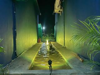 The Tiger Waterfront Resort - 5