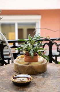 Spacious & Artistic Retro 2BD Apt with SAUNA - Athens - 3