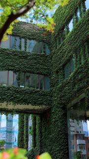 Shangri-La Dalian - 5