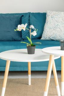 Nowoczesne Apartamenty Typu Studio z Parkingiem by Noclegi Renters - 2