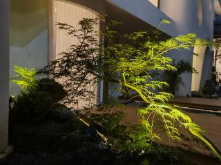Tangyin Courtyard Hotel - 2