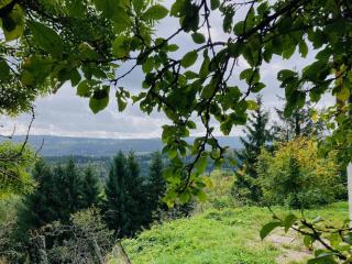 Domaine des Rochaules - 5