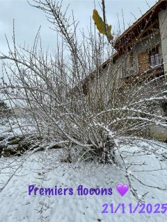 Appartement dans maison - 9