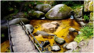 Gite de la mare aux sangliers Huelgoat - 3