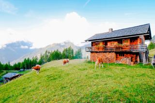 Almhütte Haritzer - 2