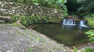 1 minuto a pé da praia, 12 hóspedes - 5