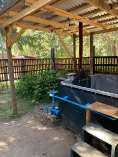 Cabañas las Palmeras de Colbun - 6