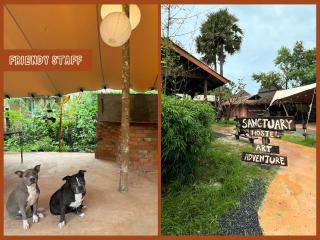 Sanctuary Hostel - Art & Adventure - 3