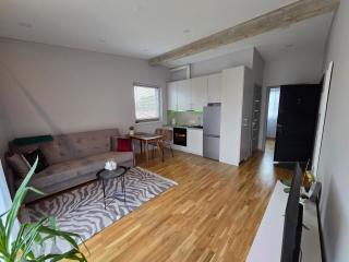 Jaukus butas Panemunėje su vaizdu į Nemuną - 9