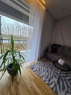 Jaukus butas Panemunėje su vaizdu į Nemuną - 2