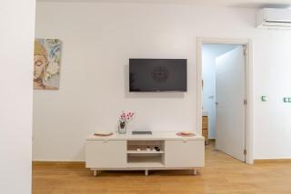 StS-2 Pet Friendly Playa - 3