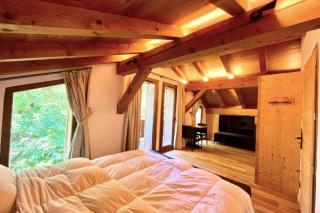 Cozy chalet in Combloux near the slopes - 3