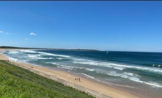 Plumeria Cottage Haven by the Beach 25mins from Sydney CBD - 7