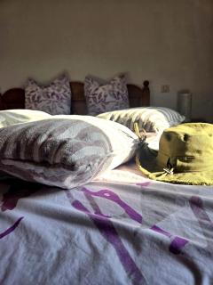 Les 2 Petits Lapins - 7