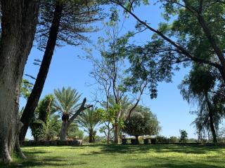 Ombundja Game Ranch - 4