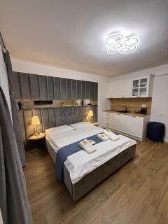 Andreea s Apartment 2 - 7