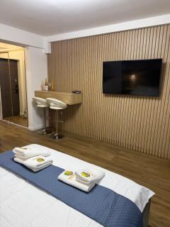 Andreea s Apartment 2 - 1