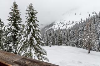 Appartamento Aurone - 9