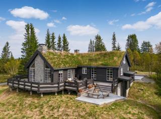 Spacious Family Cabin In Western Golsfjellet - 8