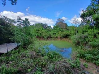 Wildcat hostel Yala - 5